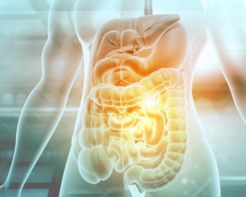 Colonic Hydrotherapy in Reading: What to Expect From Your First Session